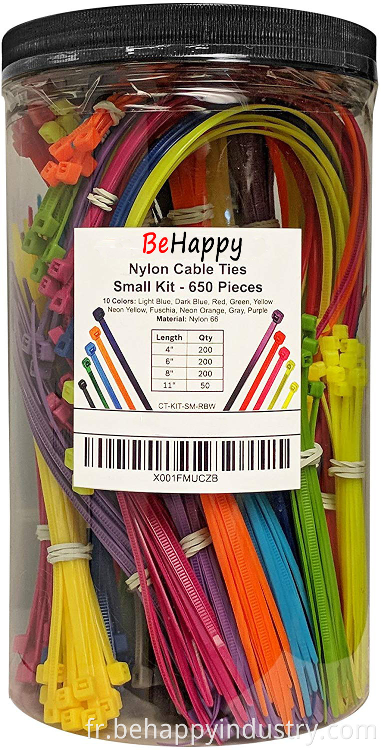 Kit de cravate de câble en nylon électroduct - 650 Craves zip - multi-couleurs (bleu, rouge, vert, jaune, fuchsia, orange, gris, violet) - longueurs assorties 4